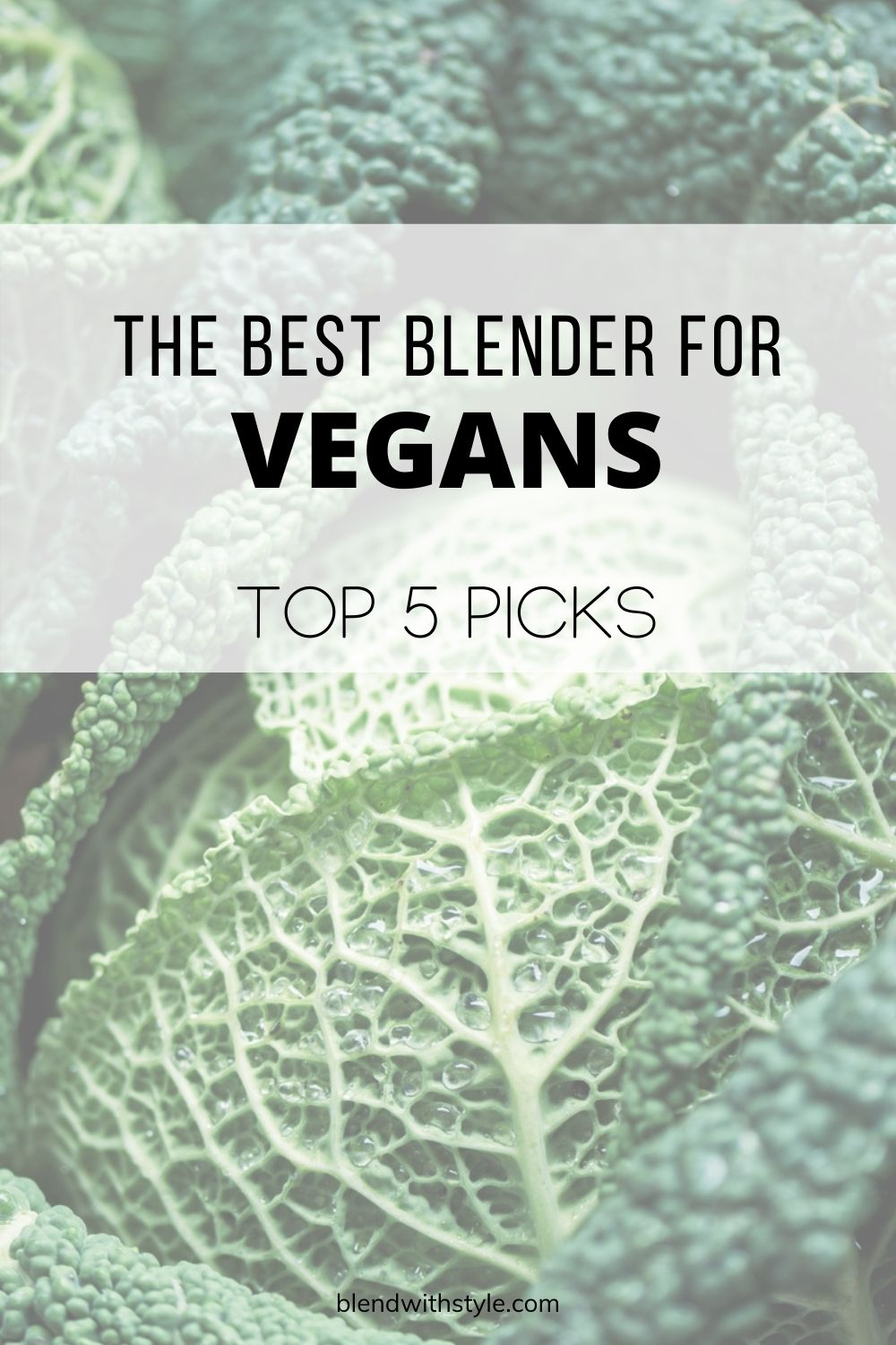 best blender for vegans