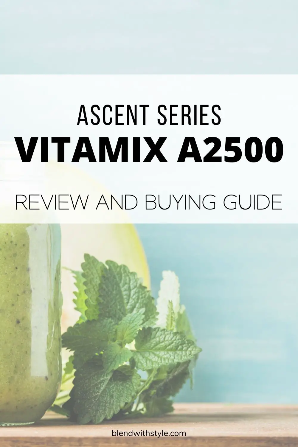 vitamix A2500 review